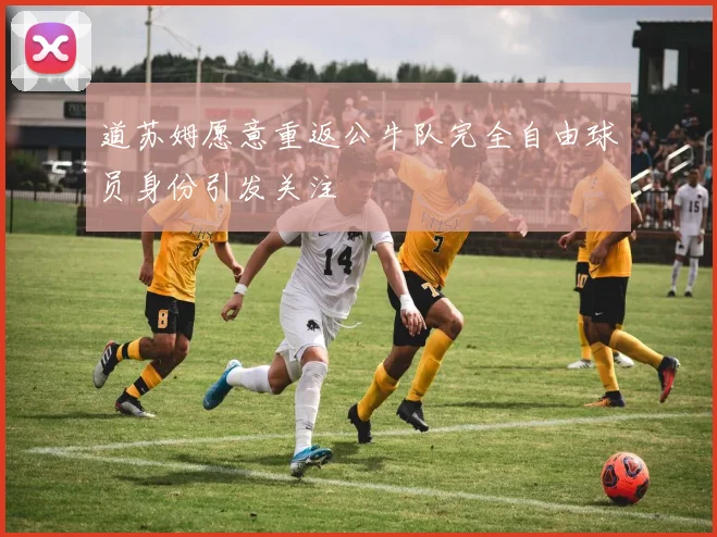 道苏姆愿意重返公牛队完全自由球员身份引发关注