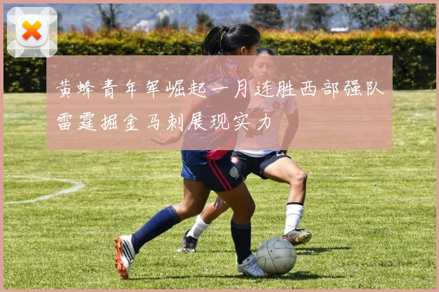 黄蜂青年军崛起一月连胜西部强队雷霆掘金马刺展现实力